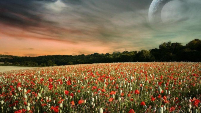 凉城网站建设_网站建设公司_网站建设设计制作_seo优化